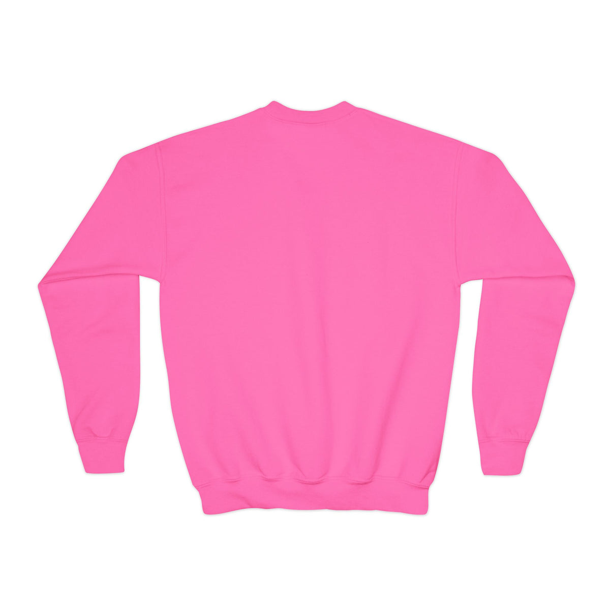 DAHLIA HEIGHTS ELEMENTARY YOUTH CREWNECK (CUSTOMIZABLE)